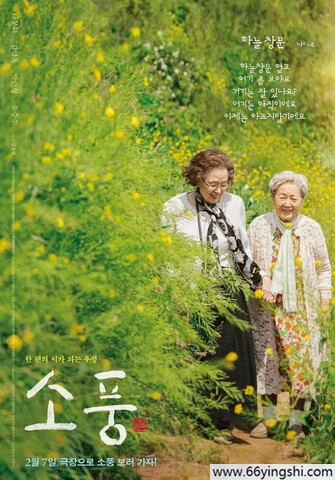 95制片厂网址,95制片厂软件下载